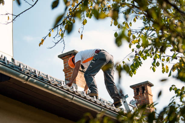 Best Roof Moss and Algae Removal  in Twinsburg Heights, OH