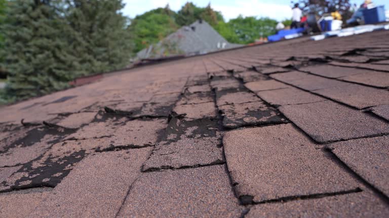 Best Skylight Installation and Repair  in Twinsburg Heights, OH
