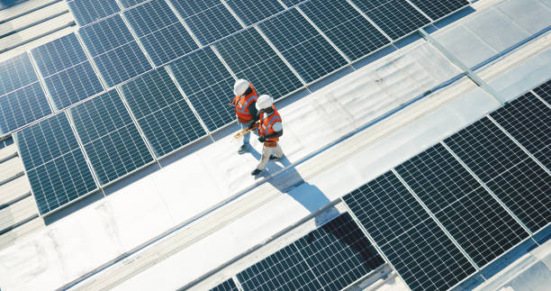 Best Roof Moss and Algae Removal  in Twinsburg Heights, OH